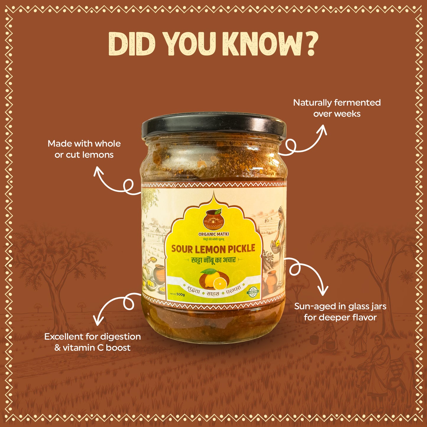 sour lemon pickle